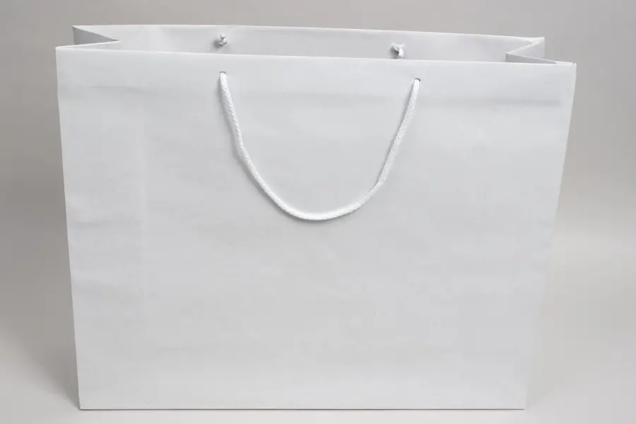 20W x 6D x 16H, Enviro Eurototes, White