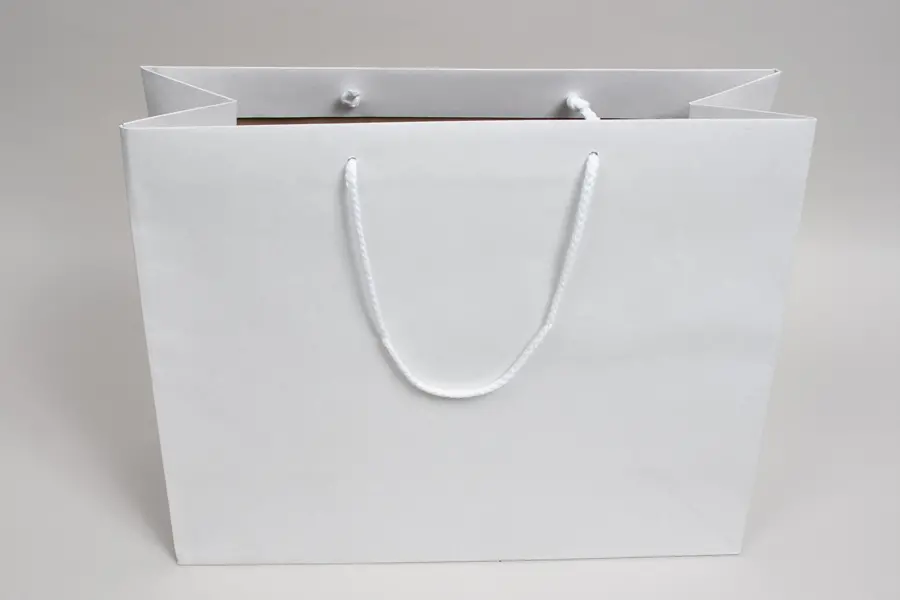 16W x 6D x 13H, Enviro Eurototes, White