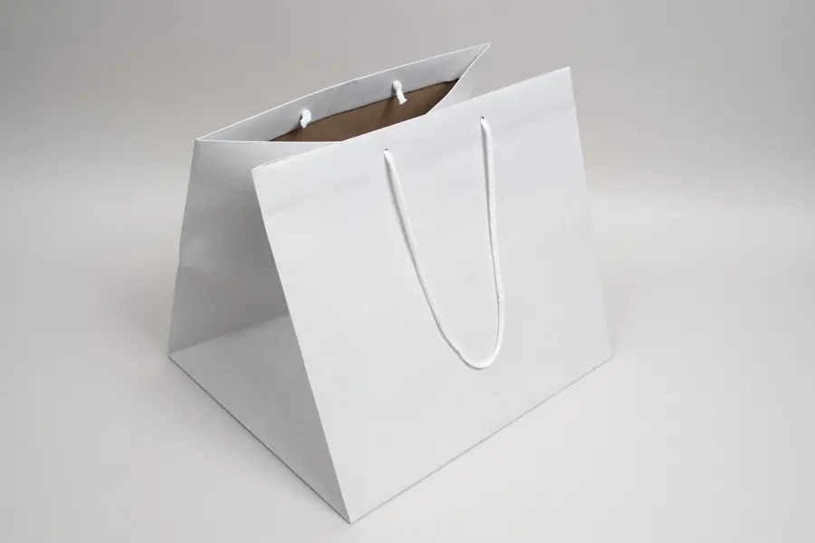 15W x 13D x 13H, Enviro Eurototes, White