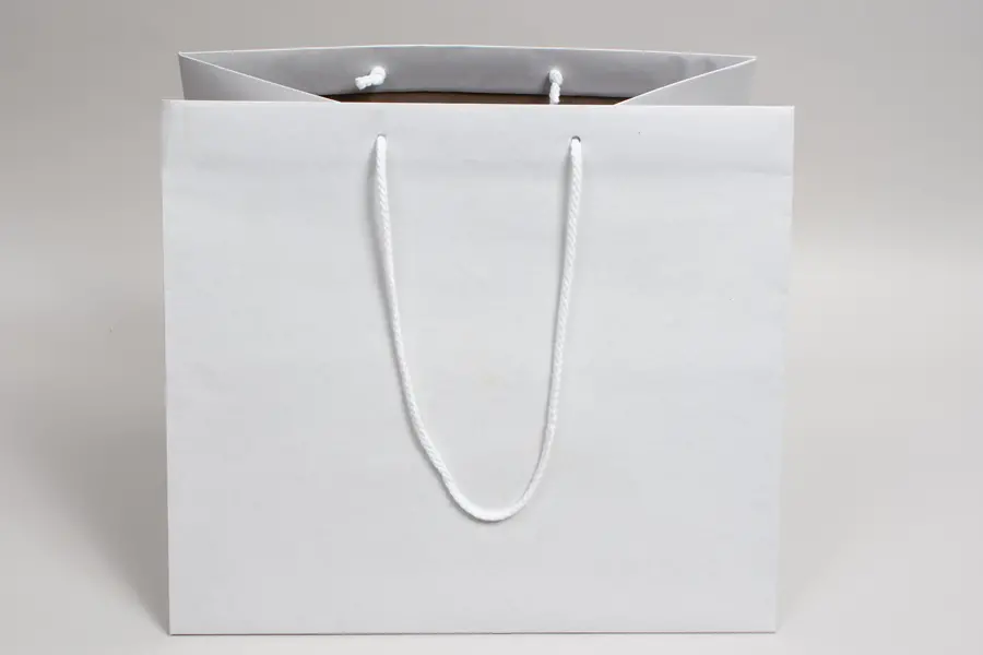15W x 13D x 13H, Enviro Eurototes, White