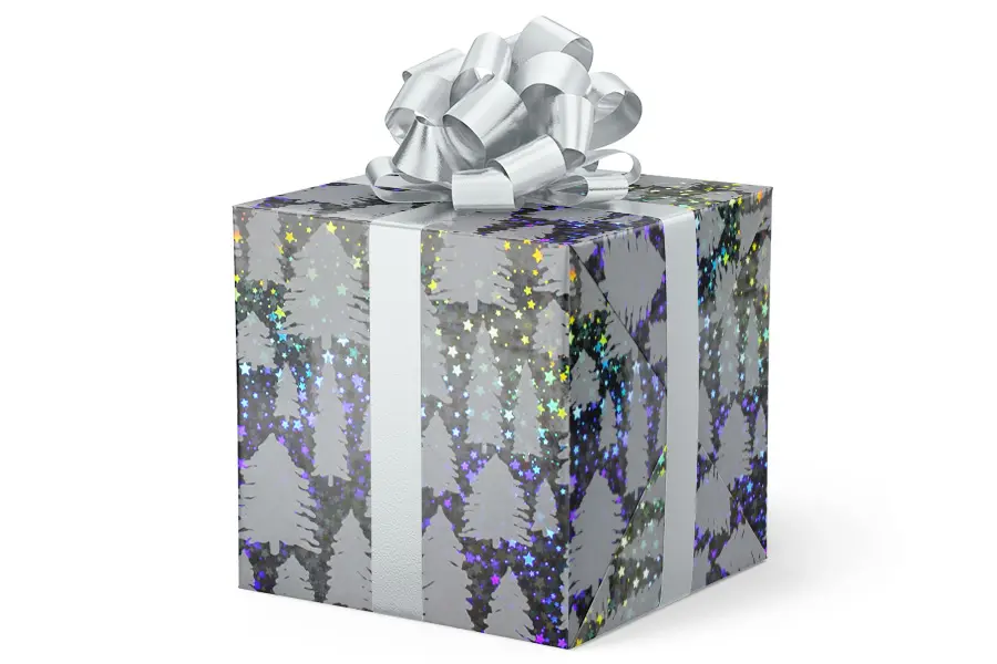 24W x 417 ft, Everyday Wrapping Paper, Fir Sure Holographic