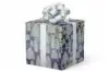 24W x 417 ft, Everyday Wrapping Paper, Fir Sure Holographic