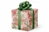 24W x 417 ft, Holiday Wrapping Paper, Winter Pomegranates Embossed