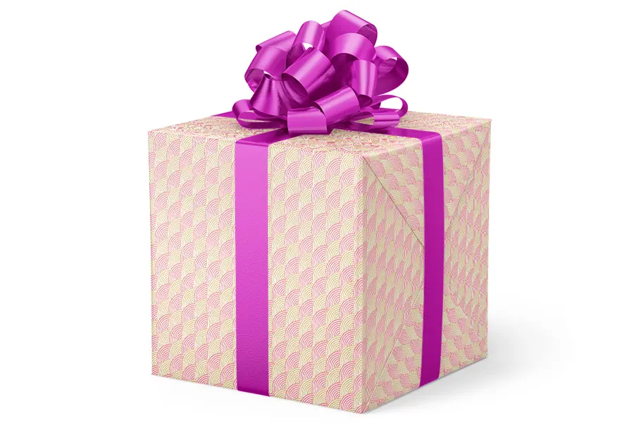 24W x 417 ft, Everyday Wrapping Paper, Seashell Rainbow