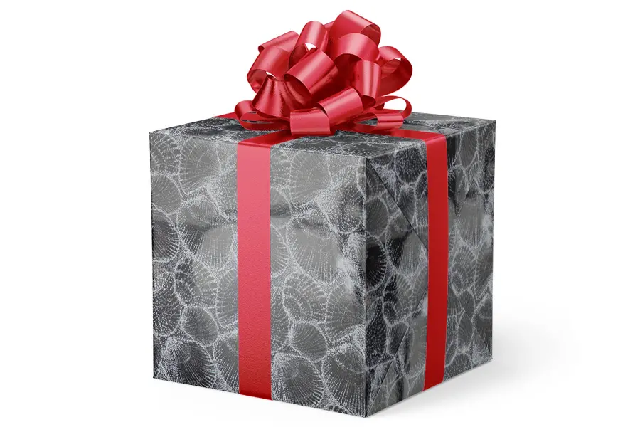 24W x 417 ft, Everyday Wrapping Paper, Silver Seashells Metallized