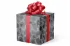 24W x 417 ft, Everyday Wrapping Paper, Silver Seashells Metallized