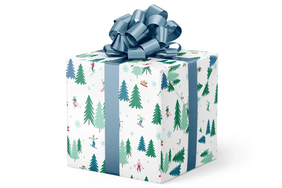 24W x 417 ft, Everyday Wrapping Paper, Hitting The Slopes Pearl