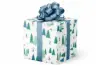 24W x 417 ft, Everyday Wrapping Paper, Hitting The Slopes Pearl