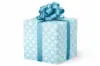 24W x 417 ft, Everyday Wrapping Paper, Blue Seashells