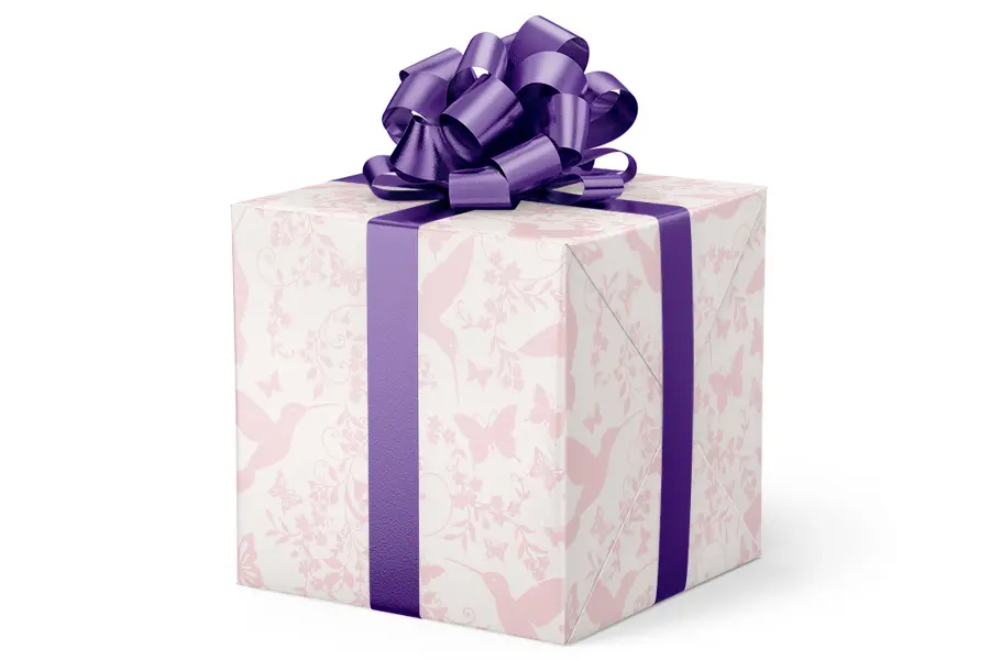 24W x 417 ft, Everyday Wrapping Paper, Hummingbirds and Butterflies Pearl