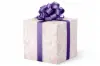 24W x 417 ft, Everyday Wrapping Paper, Hummingbirds and Butterflies Pearl