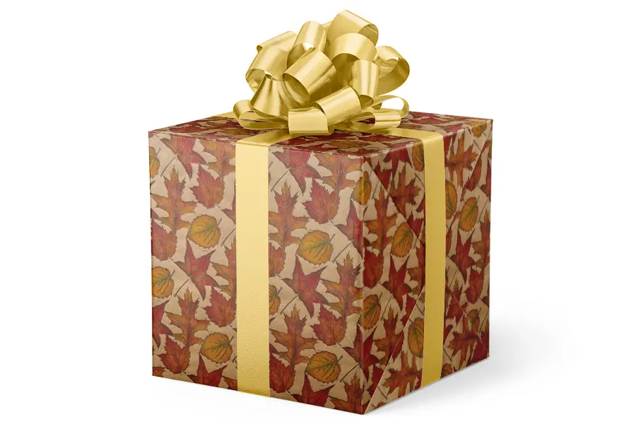 24W x 417 ft, Everyday Wrapping Paper, Leaves on Kraft