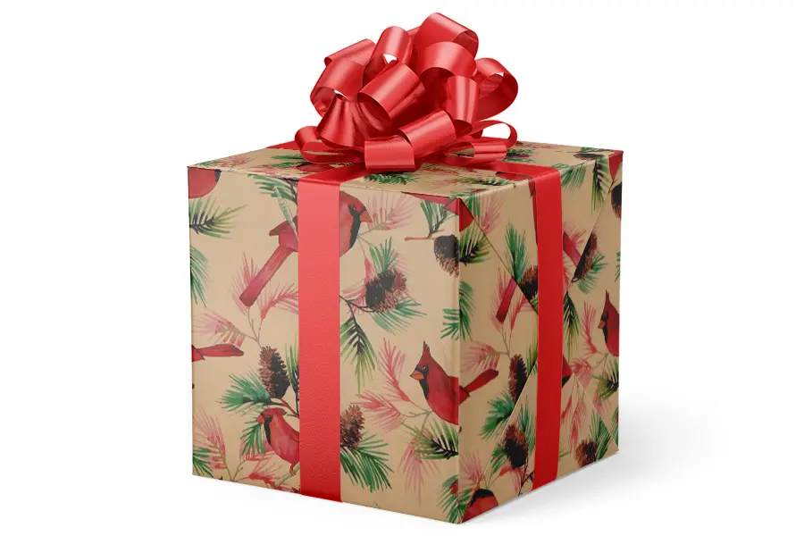 24W x 417 ft, Everyday Wrapping Paper, Crimson Cardinals