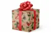 24W x 417 ft, Everyday Wrapping Paper, Crimson Cardinals