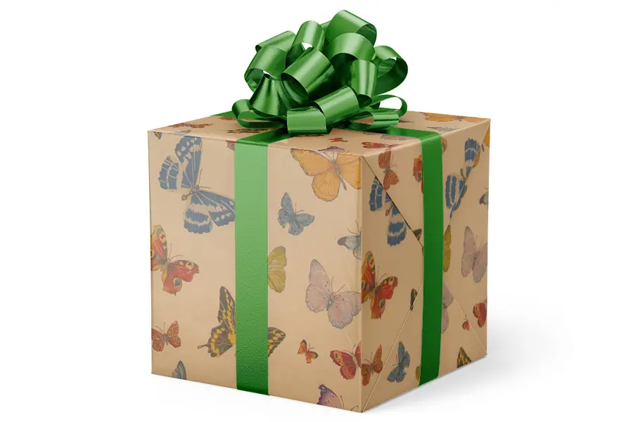 24W x 417 ft, Everyday Wrapping Paper, Butterflies