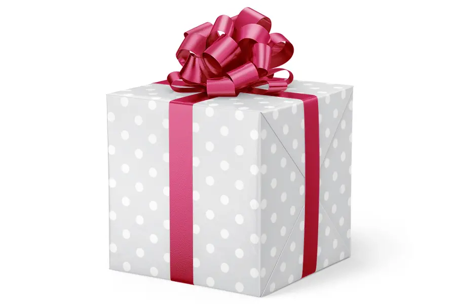 24W x 417 ft, Everyday Wrapping Paper, Pearl Dots