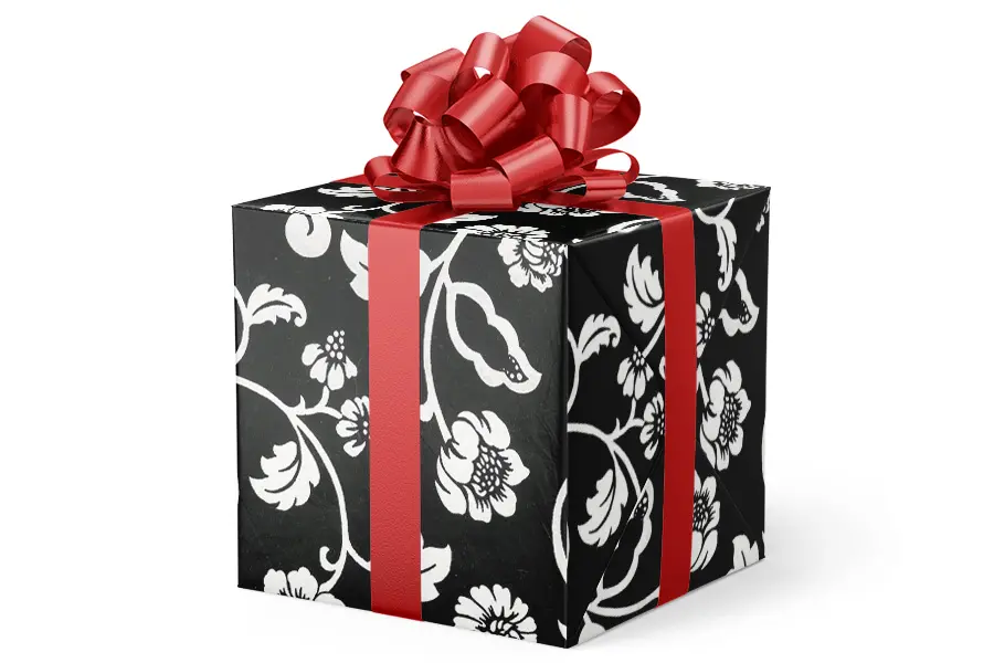 24W x 417 ft, Everyday Wrapping Paper, Black/White Julia
