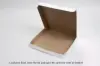 10L x 10W x 1-1/2H, Lock Corner Pizza Boxes w/ FDA-Approved Claycoat, White