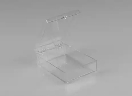 2-3/32W x 3L x 1-1/4H, Rigid Hinged Plastic Boxes, Clear