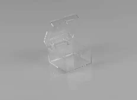 1-5/8W x 1-5/8L x 1/2H, Rigid Hinged Plastic Boxes, Clear