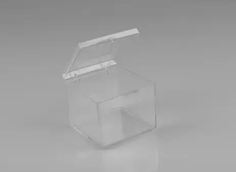2-9/16W x 2-9/16L x 1-3/16H, Rigid Hinged Plastic Boxes, Clear