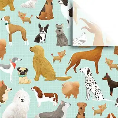 20W x 30L, Everyday Styled Tissue, Best in Show