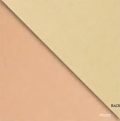 24W x 208 ft, Double Sided Wrapping Paper, Rose Gold Champagne