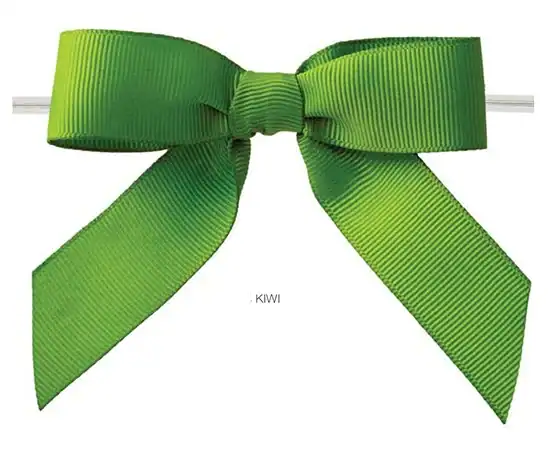 3W x 2-3/4 Bow, Pre-Tied Grosgrain Bows With Wire Twist, Kiwi