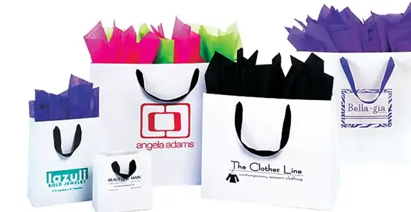 6-1/2W x 3-1/2L x 6-1/2H, Fancy Ribbon Handle White Euro Totes, Apple Green Ribbon