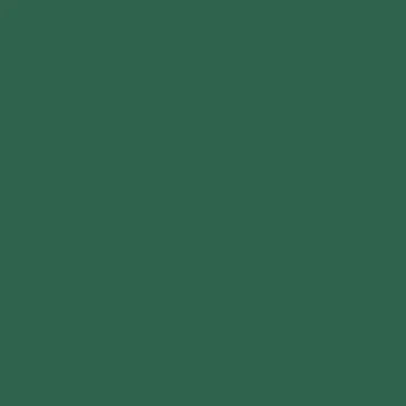 24W x 208 ft, Solid Wrapping Paper, Hunter Matte
