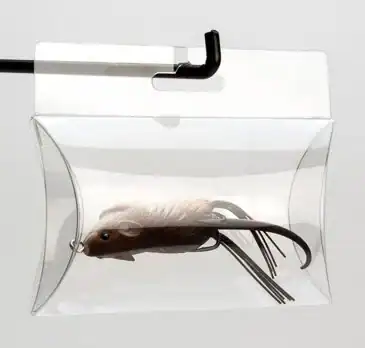 4W x 3L x 1H, Clear FDA Approved Pillow Boxes with Horizontal Side Hang Hole