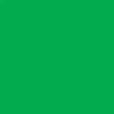 24W x 208 ft, Solid Wrapping Paper, Green Matte
