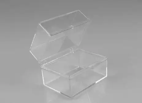 Rigid Hinged Plastic Boxes - 3-12 x 2-916"