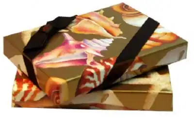 4 11/16 x 3 3/8 x 3/4, Flip-Box Gift Card Boxes - Plastic Insert, Seashells