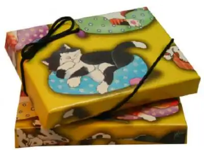 4 11/16 x 3 3/8 x 3/4, Flip-Box Gift Card Boxes - Plastic Insert, Dogs and Cats