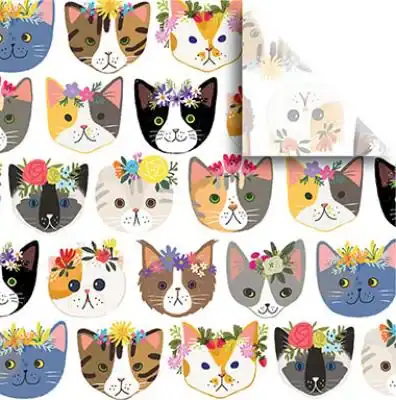 20W x 30L, Everyday Styled Tissue, Kitty Cats