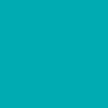 30W x 833 ft, Solid Wrapping Paper, Turquoise Matte