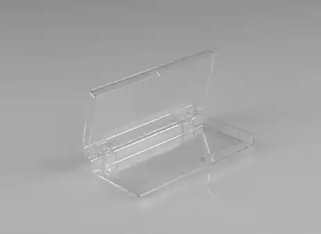 Rigid Hinged Plastic Boxes - 3-78 x 1-1516"