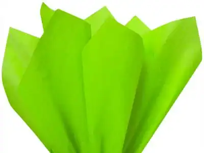 15W x 20L, Colored Tissue Paper, Bright Lime