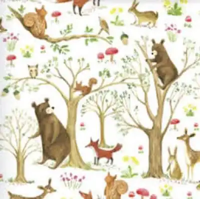 20W x 30L, Everyday Styled Tissue, Fairytale Forest