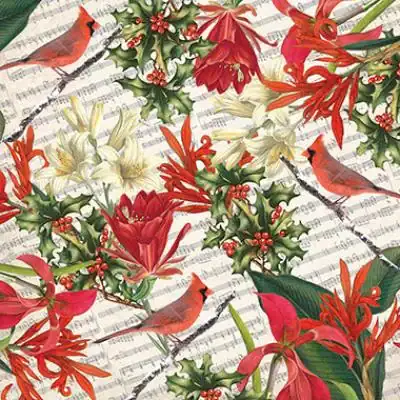 20W x 30L, Christmas and Valentines Style Tissue, Cardinal & Holly