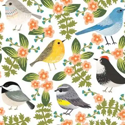 20W x 30L, Everyday Styled Tissue, Birdie