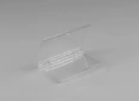 3-1/2W x 2-1/8L x 1/4H, Rigid Hinged Plastic Boxes, Clear