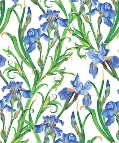 24W x 208 ft, Floral Wrapping Paper, Irises