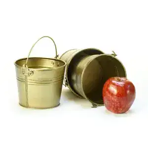 Painted Handle Pails
