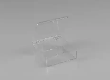 Rigid Hinged Plastic Boxes - 2-18" x 1-58"