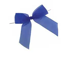 Assorted Ribbons