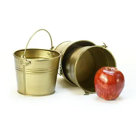 5 inch Round Gold Painted Handle Pail