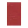 9W x 12L, 2 Mil Red Zip Bags