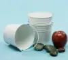 5 inch Round White Painted Handle Pail